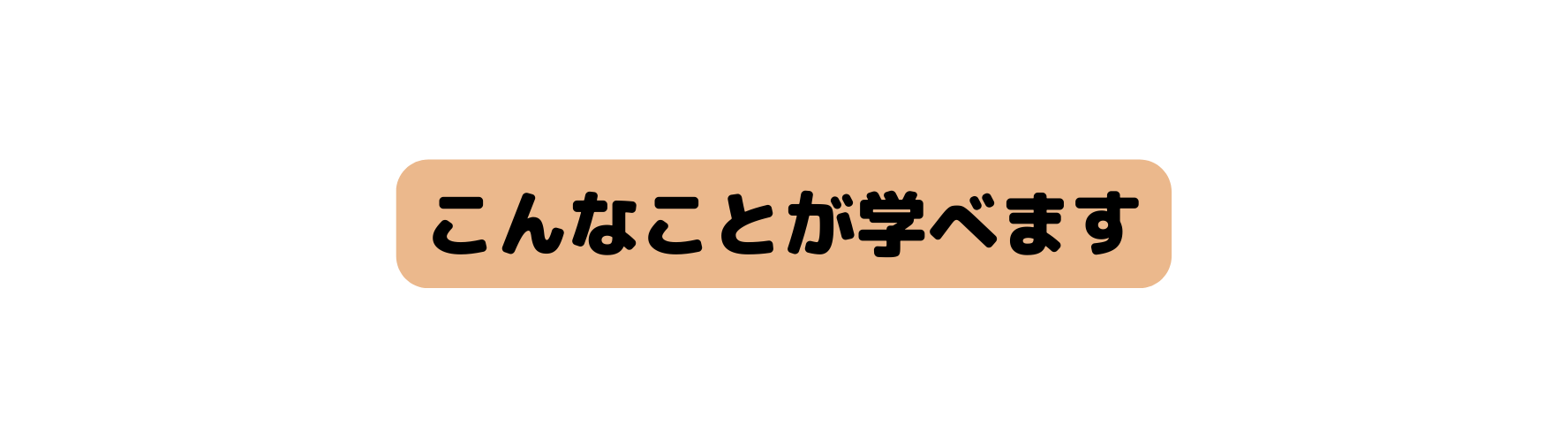 こんなことが学べます