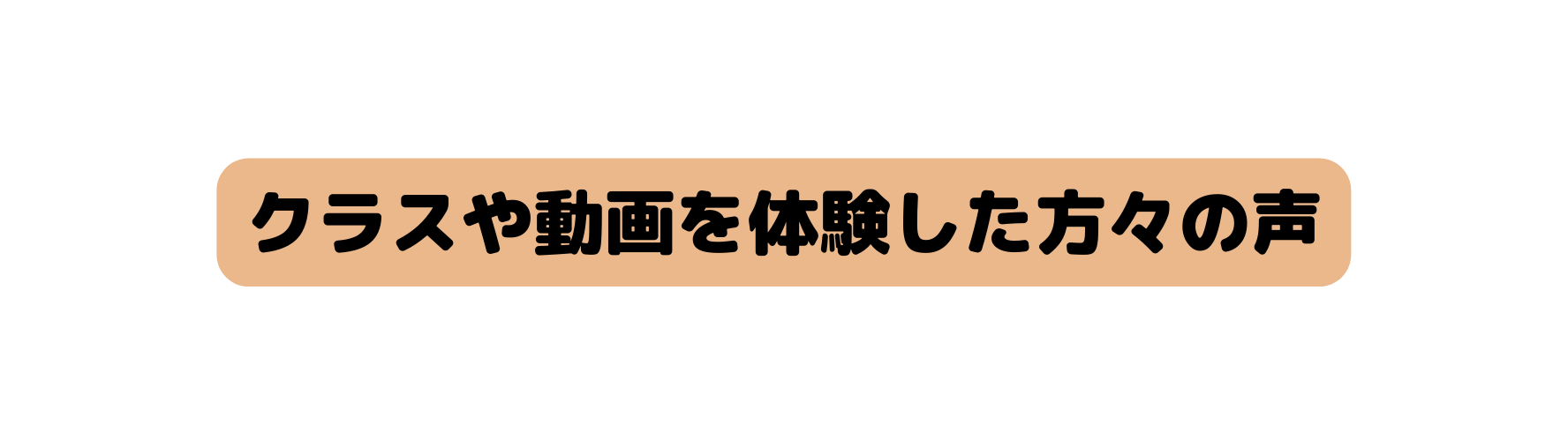 クラスや動画を体験した方々の声