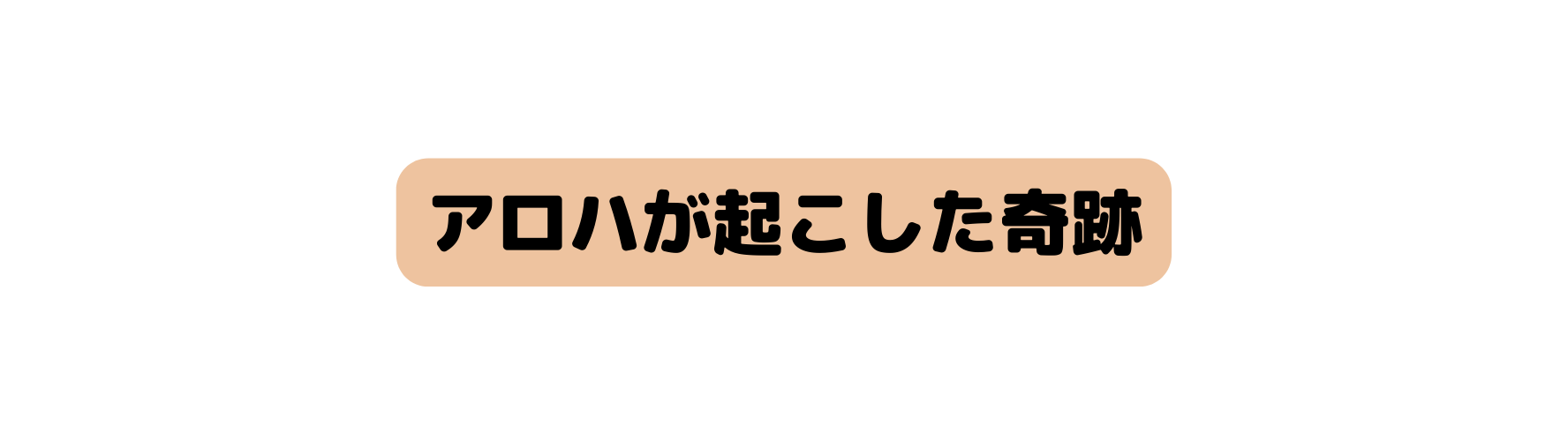 アロハが起こした奇跡